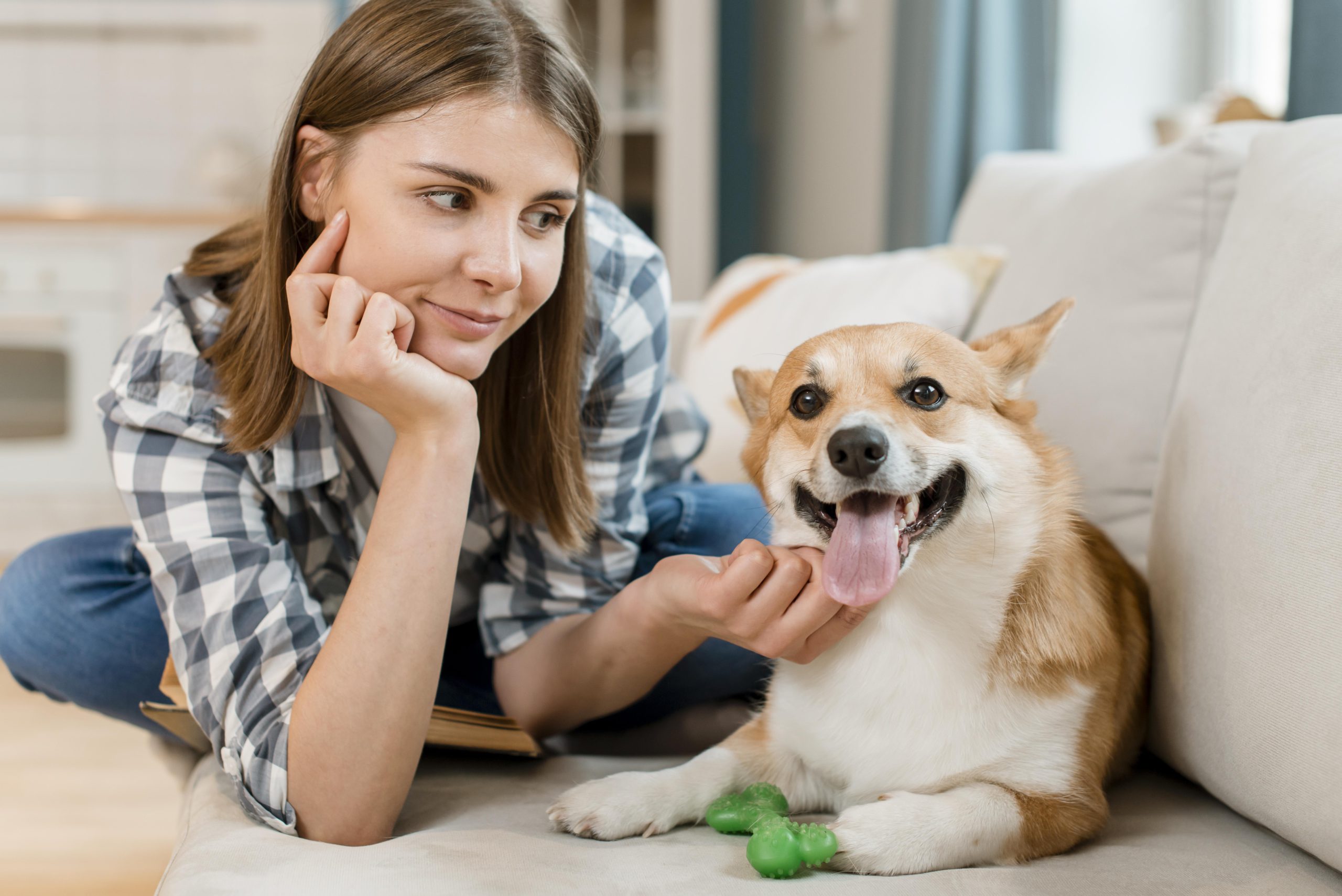 Dicas de rotina para você e o seu pet